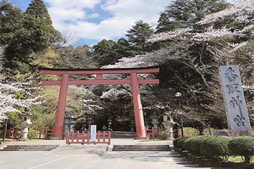 【安心のトイレ付バス利用確約コース🚌「鹿島神宮」「香取神宮」「息栖神社」を参拝!/新宿・池袋発】関東屈指の強力なパワースポット 桜の絶景×東国三社めぐり1
